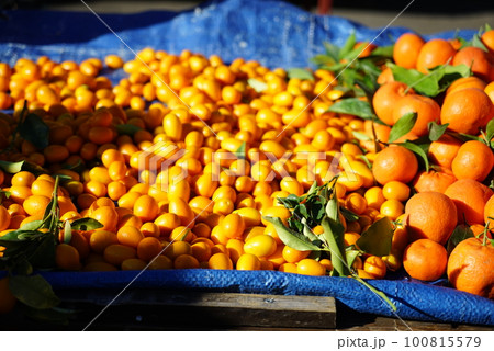 アジア・ヨーロッパのローカルマーケット 100815579