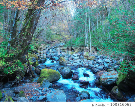 紅葉の御岳県立自然公園　油木沢の渓流 100816065