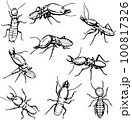 termite, the image of termites in various poses, in motion and foreshortening, black and white drawing, silhouette, vector, drawing 100817326