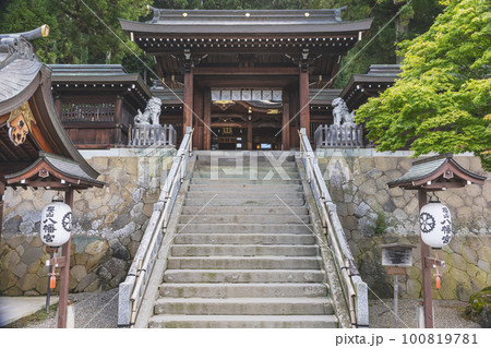 220824桜山八幡宮z009 220824桜山八幡宮z009 100819781
