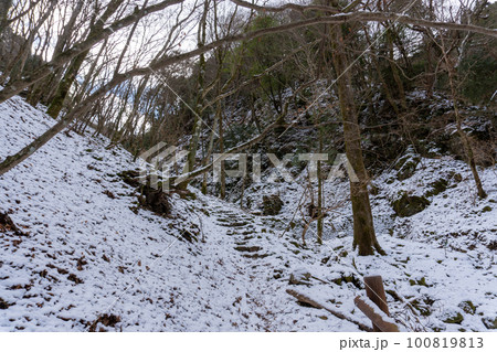 伊豆山稜線歩道天城峠 伊豆山稜線歩道天城峠 100819813