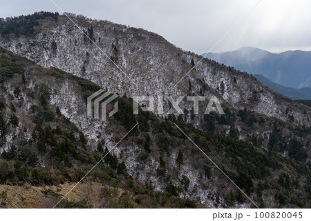 雪が積もる伊豆山稜線歩道風早峠 100820045