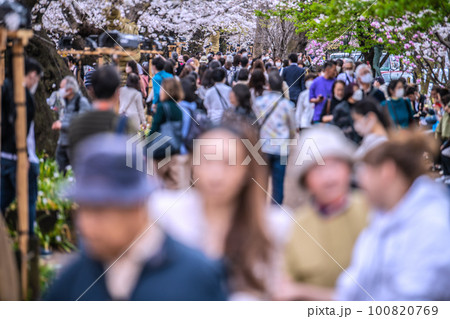 日本の東京都市景観 マスク着用は「個人の判断」…千鳥ヶ淵は多くの人出…マスクからの解放!=3月22日 日本の東京都市景観 マスク着用は「個人の判断」…千鳥ヶ淵は多くの人出…マスクからの解放!=3月22日 100820769