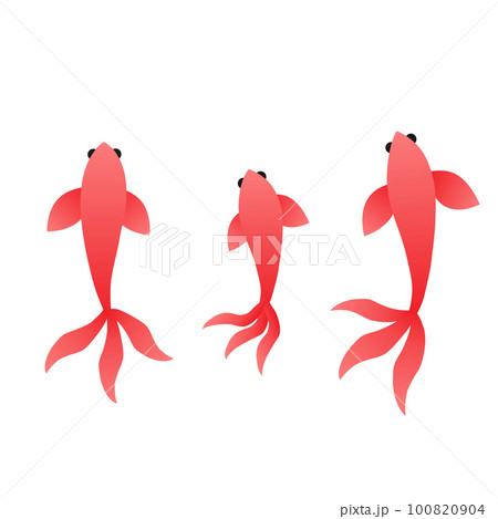 泳ぐ金魚のイラスト 泳ぐ金魚のイラスト 100820904