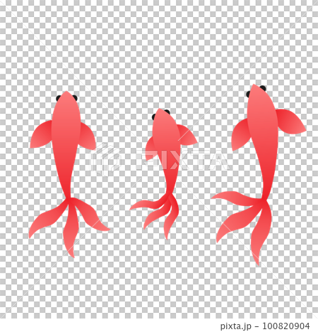 游泳的金魚的插圖 100820904