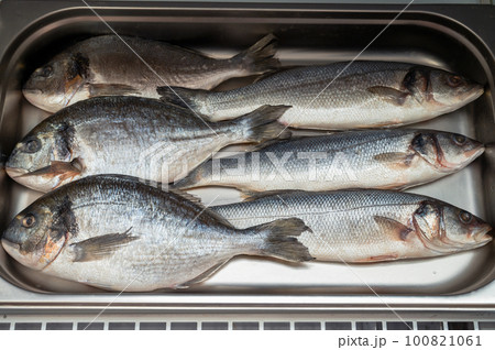 Fresh raw dorado and sibas fish 100821061