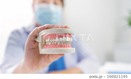 Dentist at dental clinic White healthy tooth with Dental model in oral surgeons discussing jaw x-ray on tablet medicine healthcare oral surgery concept. Dentist at dental clinic White healthy tooth with Dental model in oral surgeons discussing jaw x-ray on tablet medicine healthcare oral surgery concept. 100821195