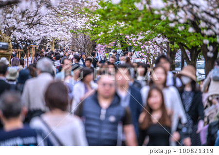 日本の東京都市景観 マスク妄想からの解放!…千鳥ヶ淵は多くの人出…屋外での感染はない=3月22日 日本の東京都市景観 マスク妄想からの解放!…千鳥ヶ淵は多くの人出…屋外での感染はない=3月22日 100821319