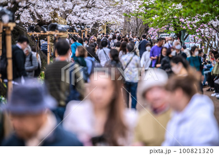 日本の東京都市景観 マスク妄想からの解放！…千鳥ヶ淵は多くの人出…屋外での感染はない＝3月22日 100821320