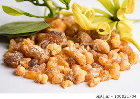 Frankincense or olibanum aromatic resin isolated on white background used in incense and perfumes. Frankincense or olibanum aromatic resin isolated on white background used in incense and perfumes. 100821704