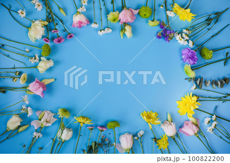 Frame of beautiful colourful summer separate flowers on blue background 100822200