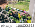 Woman taking care on plants at her balcony at spring 100822858