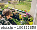 Woman watering flowers at her balcony at spring 100822859
