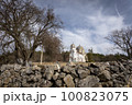 Church of the Holy Trinity in the village of Gaber 100823075