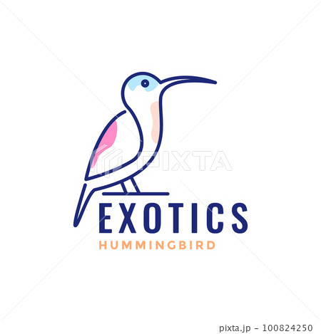 exotics bird hummingbird long beak line art modern minimal logo design vector exotics bird hummingbird long beak line art modern minimal logo design vector 100824250