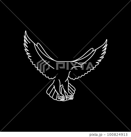 animal bird flying eagle hunting line art minimalist logo design vector 100824913
