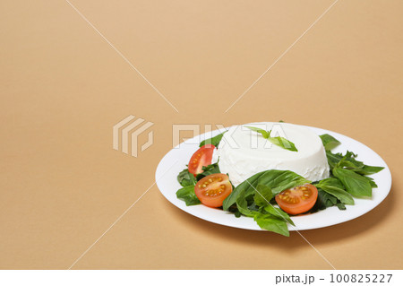 Concept of tasty dairy product - ricotta cheese, space for text Concept of tasty dairy product - ricotta cheese, space for text 100825227