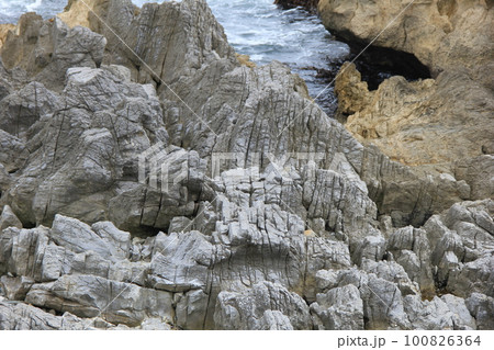 岩場の風景/海岸の、無数に罅の入った岩場 100826364
