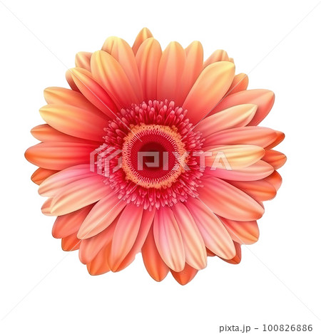 Gerbera flower hear isolated. Illustration AI Generative 100826886