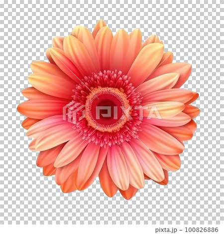 Gerbera flower hear isolated. Illustration AI Generative 100826886