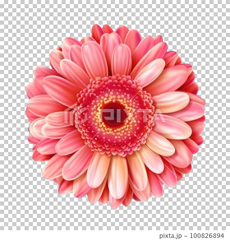 Gerbera flower hear isolated. Illustration AI Generative Gerbera flower hear isolated. Illustration AI Generative 100826894