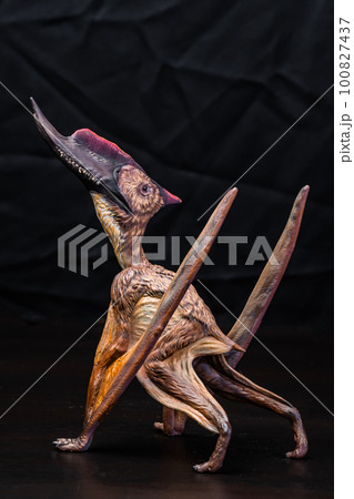 The Dsungaripterus dinosaur in the dark The Dsungaripterus dinosaur in the dark 100827437