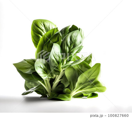 green spinach leaves isolated on white background.generative AI 100827660
