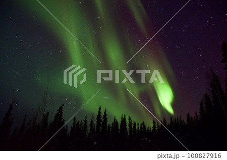 フェアバンクスのAirbnbから見たオーロラ 100827916