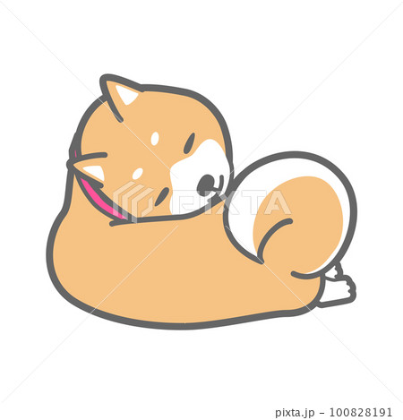 昼寝する柴犬のベクターイラスト 100828191