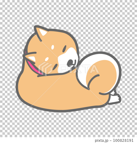 昼寝する柴犬のベクターイラスト 100828191