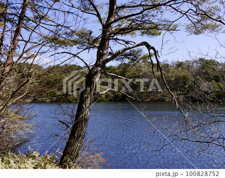 根ノ上高原の人造湖 根ノ上湖 根ノ上高原の人造湖 根ノ上湖 100828752