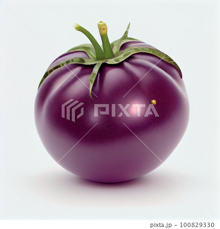 Isolated Cherokee Purple Tomato on a white background. 100829330