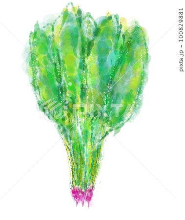 ほうれん草イラスト ほうれん草イラスト 100829881