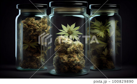 Jars Full of Big Green Medical Marijuana Buds 100829890