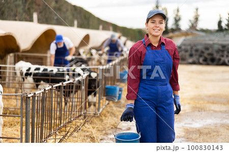 Positive woman farmer worker in uniform preparing water in buckets for taking care of calves at livestock farm Positive woman farmer worker in uniform preparing water in buckets for taking care of calves at livestock farm 100830143