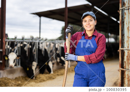 Skilled positive young female farm worker standing with rake while giving hay to cows on ranch 100830395