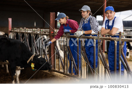 Man woman and boy farmers posing at dairy farm Man woman and boy farmers posing at dairy farm 100830413