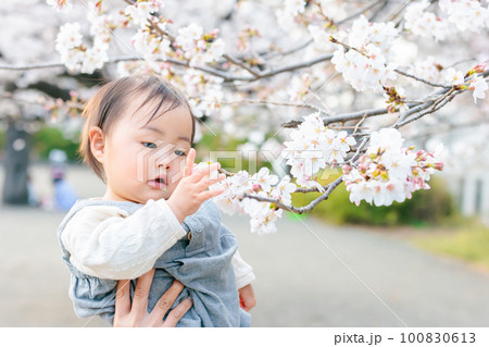 桜の咲く公園で遊ぶ赤ちゃん 桜の咲く公園で遊ぶ赤ちゃん 100830613