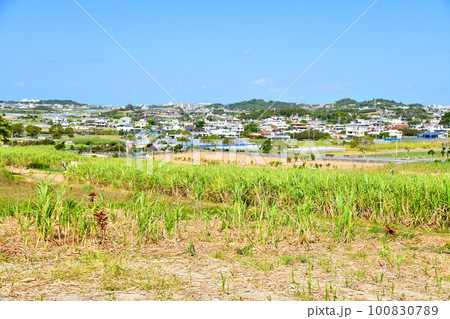 世名城、東風平周辺の風景(沖縄県八重瀬町)【2023.2】 世名城、東風平周辺の風景(沖縄県八重瀬町)【2023.2】 100830789