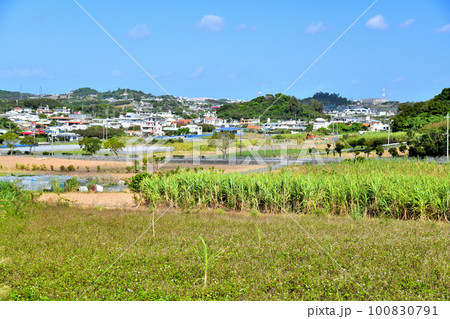 世名城、東風平周辺の風景(沖縄県八重瀬町)【2023.2】 世名城、東風平周辺の風景(沖縄県八重瀬町)【2023.2】 100830791