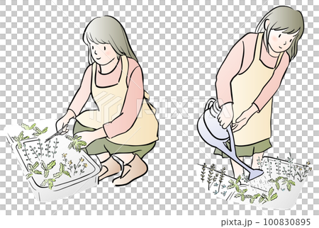 ハーブの手入れをする女性のイラスト　カラー 100830895