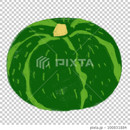 かぼちゃ 100831884