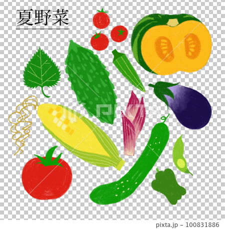 原画　夏野菜3枚セット 原画 夏野菜3枚セット 野菜セット[単発]：Sサイズ – 久松農園