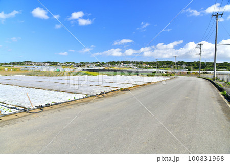 沖縄県糸満市真壁、新垣周辺の風景(沖縄県糸満市)【2023.2】 沖縄県糸満市真壁、新垣周辺の風景(沖縄県糸満市)【2023.2】 100831968