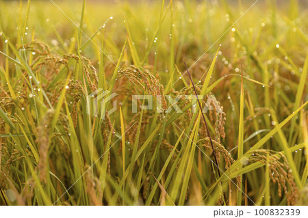 220918上野平m112 220918上野平m112 100832339