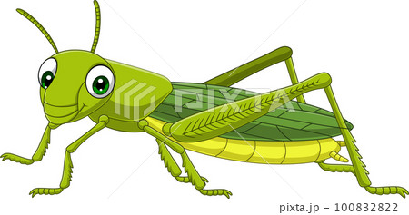 Cartoon grasshopper on white background 100832822