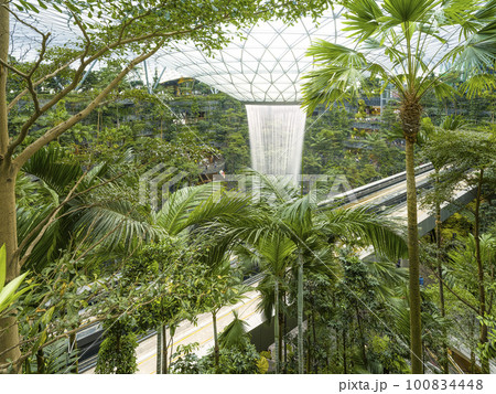 シンガポール・チャンギ空港「Jewel」の屋内人工滝 100834448