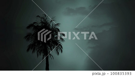 Composition of silhouette of palm tree over clouded sky 100835393