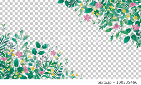 花和葉的水彩插圖/植物/花卉 100835466