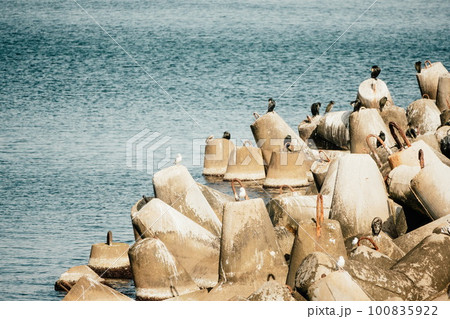 Coast breakwaters protecting from large waves with sea water background. The seashore is reinforced with concrete tetrapods. Coast breakwaters protecting from large waves with sea water background. The seashore is reinforced with concrete tetrapods. 100835922